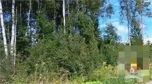 Участок в Ленинградская область, Всеволожский район, Сертоловское ... - Фото 0