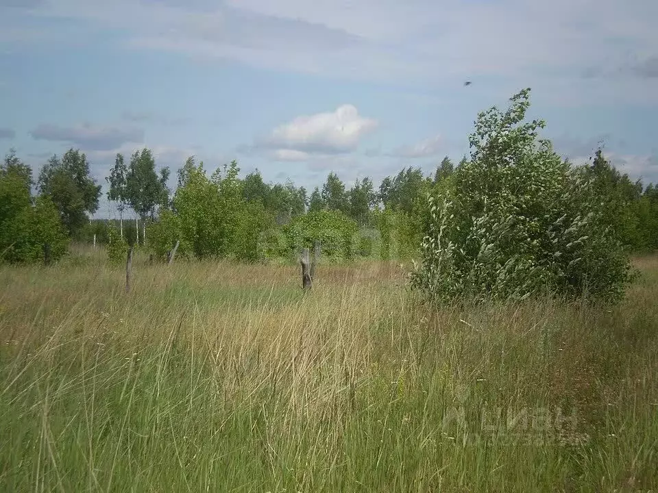 Участок в Тульская область, Тула городской округ, с. Частое ул. ... - Фото 1
