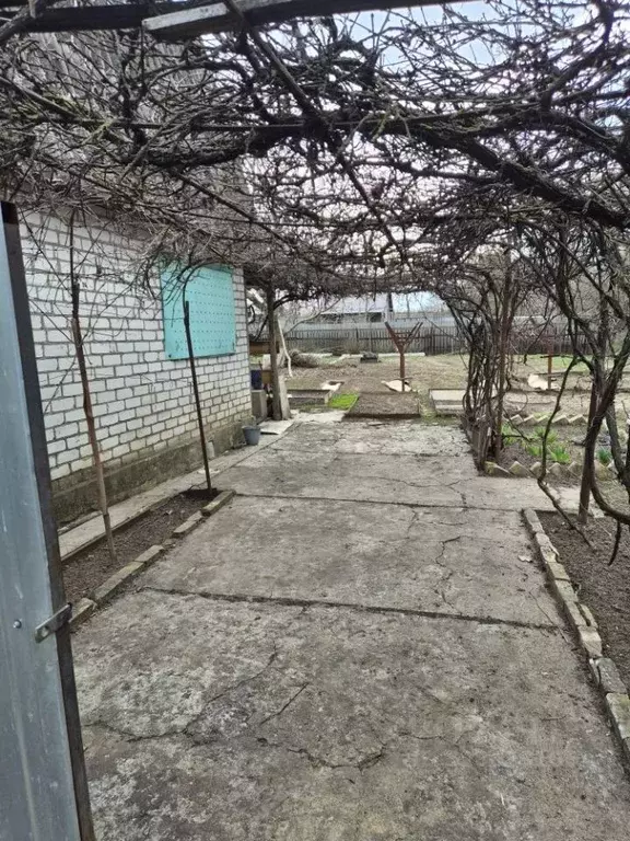 Дом в Волгоградская область, Калачевский район, Ильевское с/пос, пос. ... - Фото 2