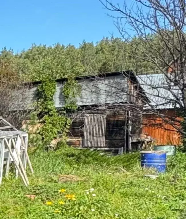 Участок в Челябинская область, Сосновский муниципальный округ, ... - Фото 2