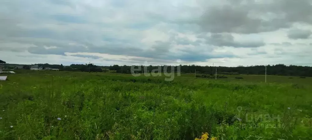 Участок в Смоленская область, Смоленский муниципальный округ, ... - Фото 0