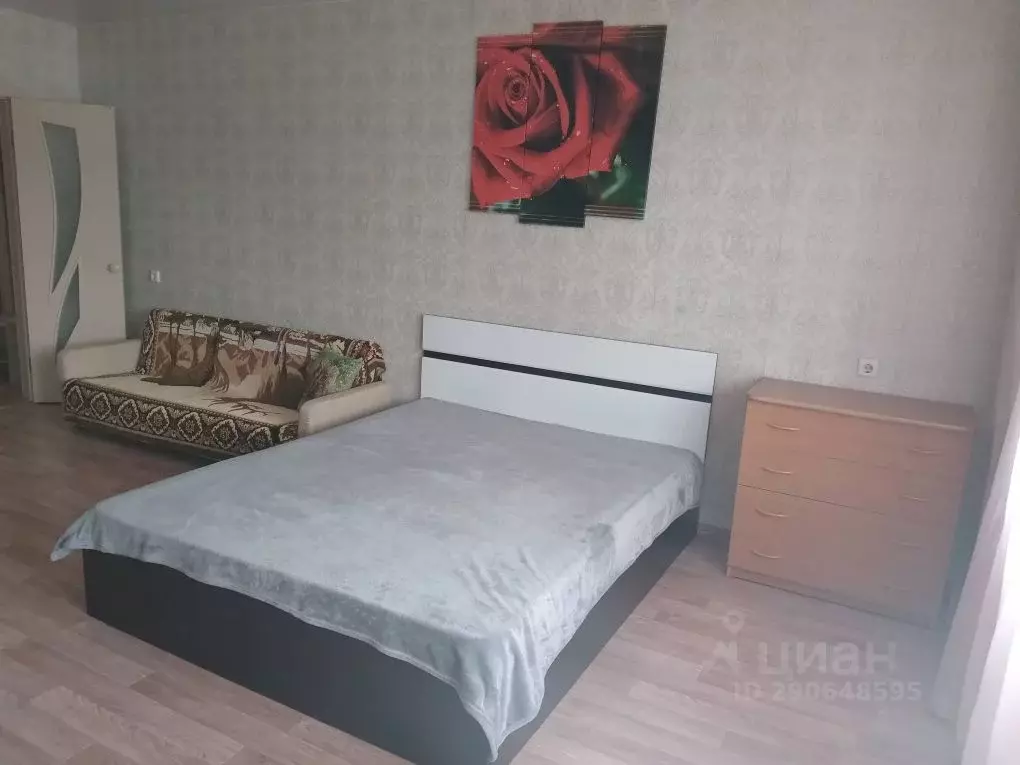 Студия Красноярский край, Красноярск ул. Петра Подзолкова, 3Б (32.0 м) - Фото 0