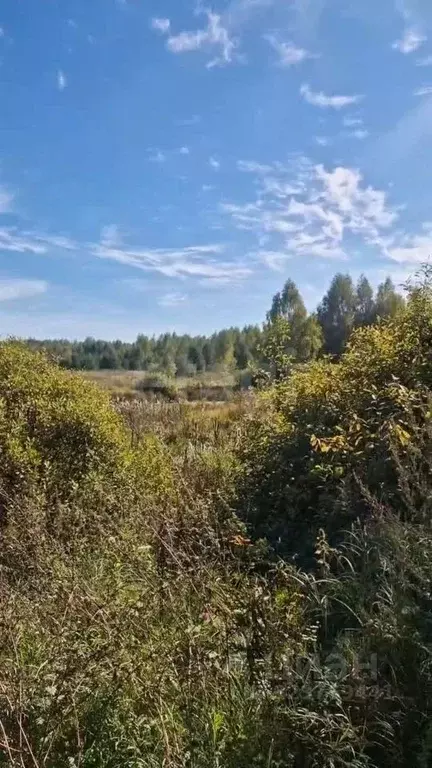 Участок в Нижегородская область, Навашинский муниципальный округ, с. ... - Фото 2