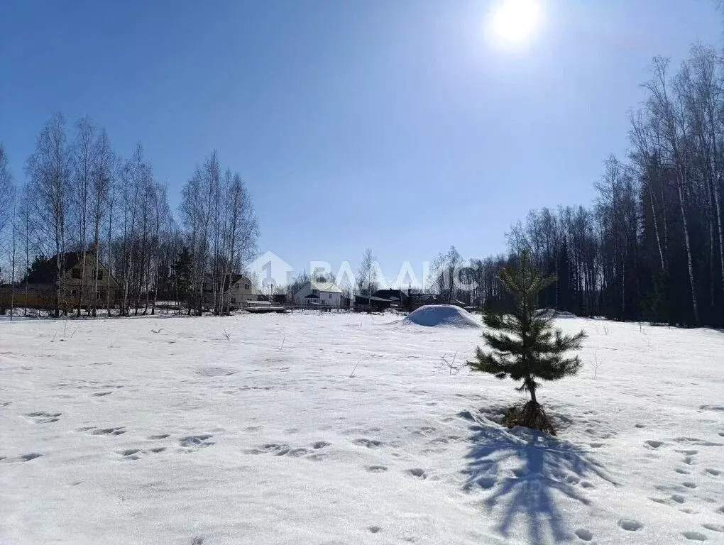 Участок в Владимирская область, Собинский муниципальный округ, д. ... - Фото 2