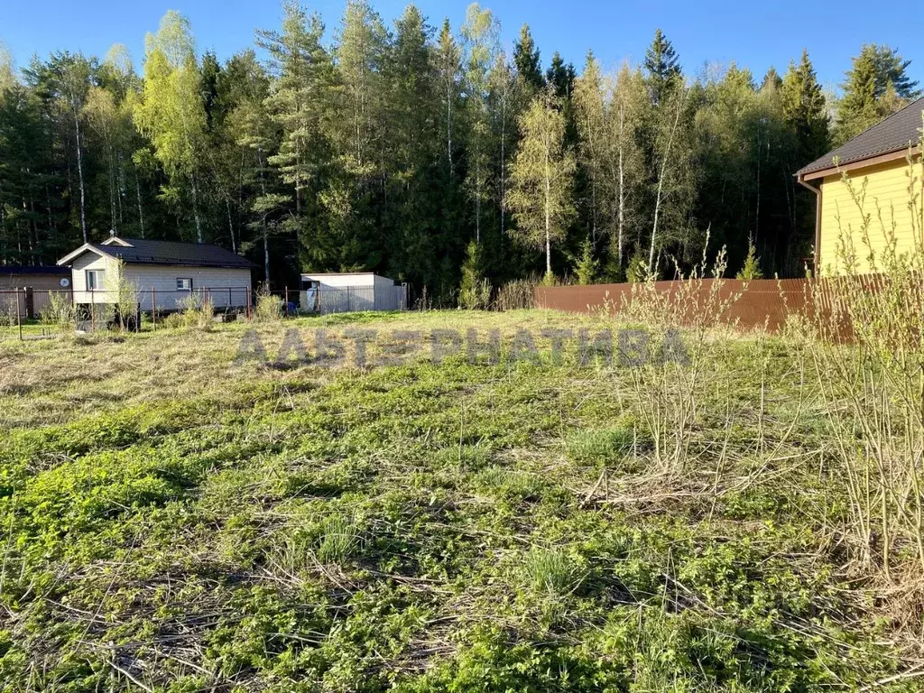 Участок в Ярославская область, Переславль-Залесский муниципальный ... - Фото 2