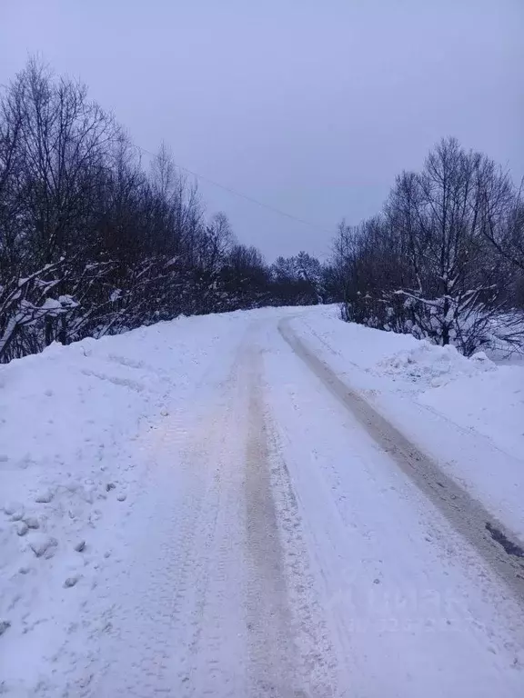 Участок в Московская область, Егорьевск муниципальный округ, д. ... - Фото 2