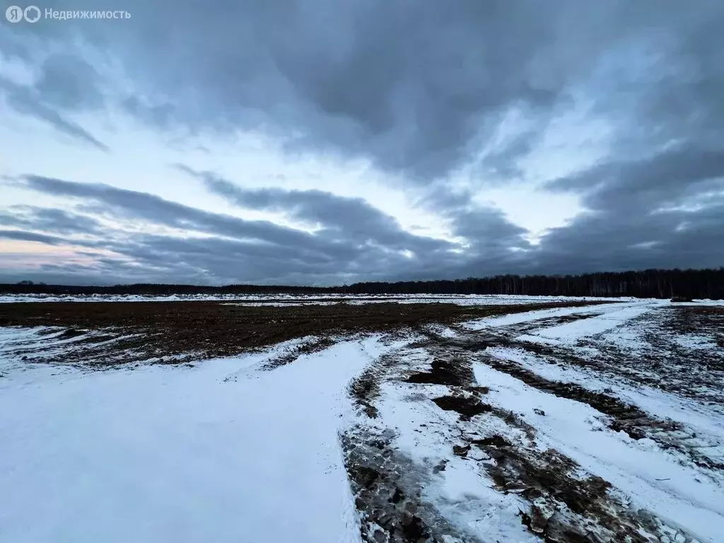 Участок в Московская область, городской округ Ступино, коттеджный ... - Фото 0