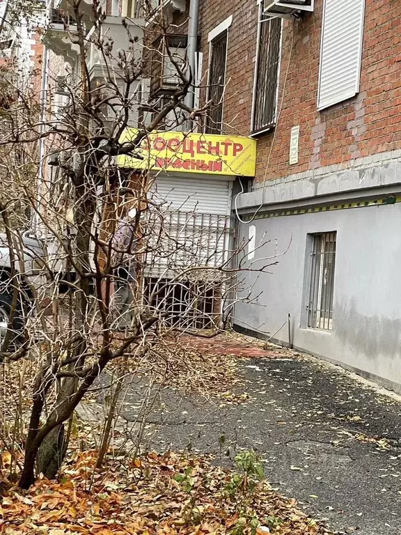 Помещение свободного назначения в Волгоградская область, Волгоград ул. ... - Фото 0