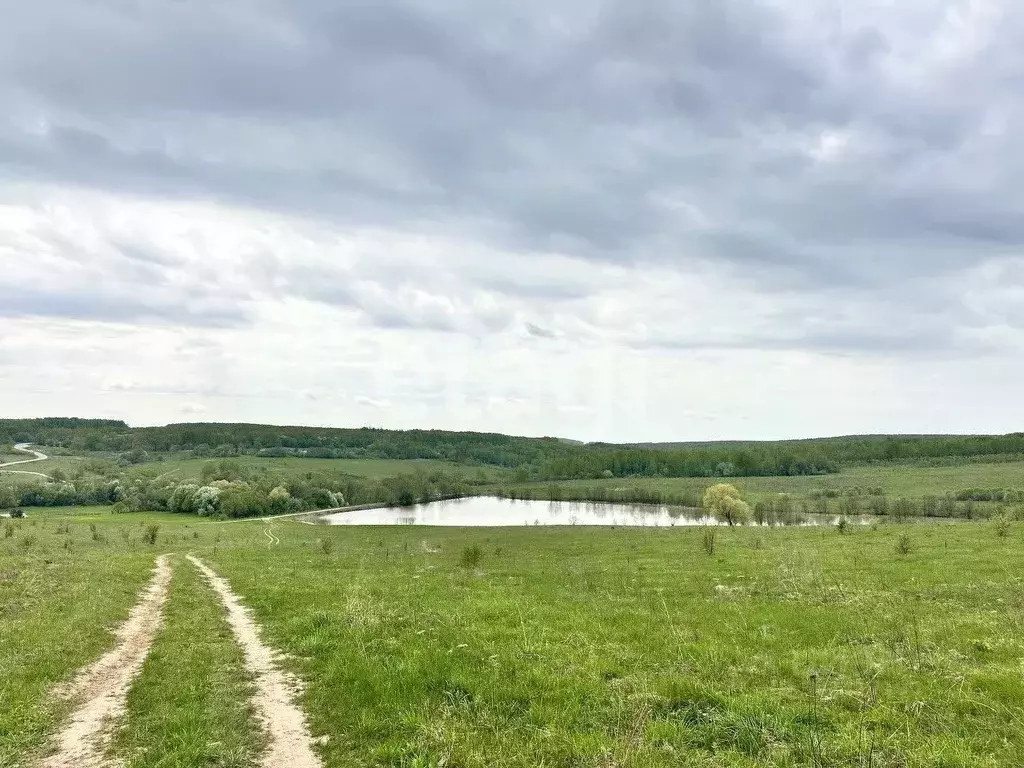 Участок в Тульская область, Дубенский район, Протасовское ... - Фото 1