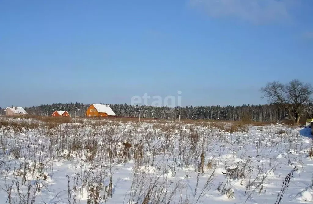 Участок в Татарстан, Лаишевский район, Егорьевское с/пос, д. Зимняя ... - Фото 1