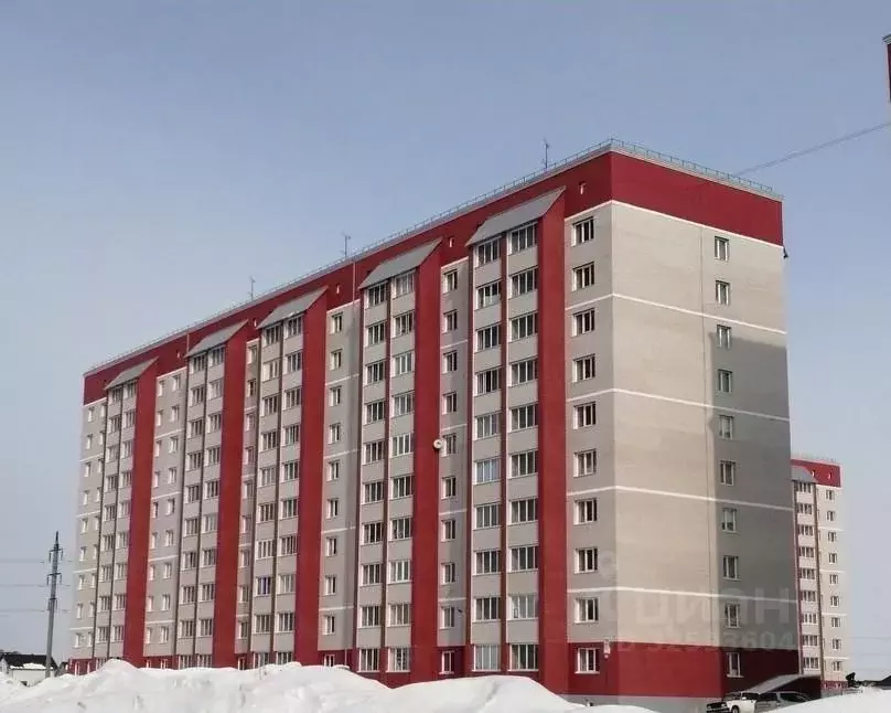 Студия Алтайский край, Новоалтайск ул. Анатолия, 100 (28.4 м) - Фото 1