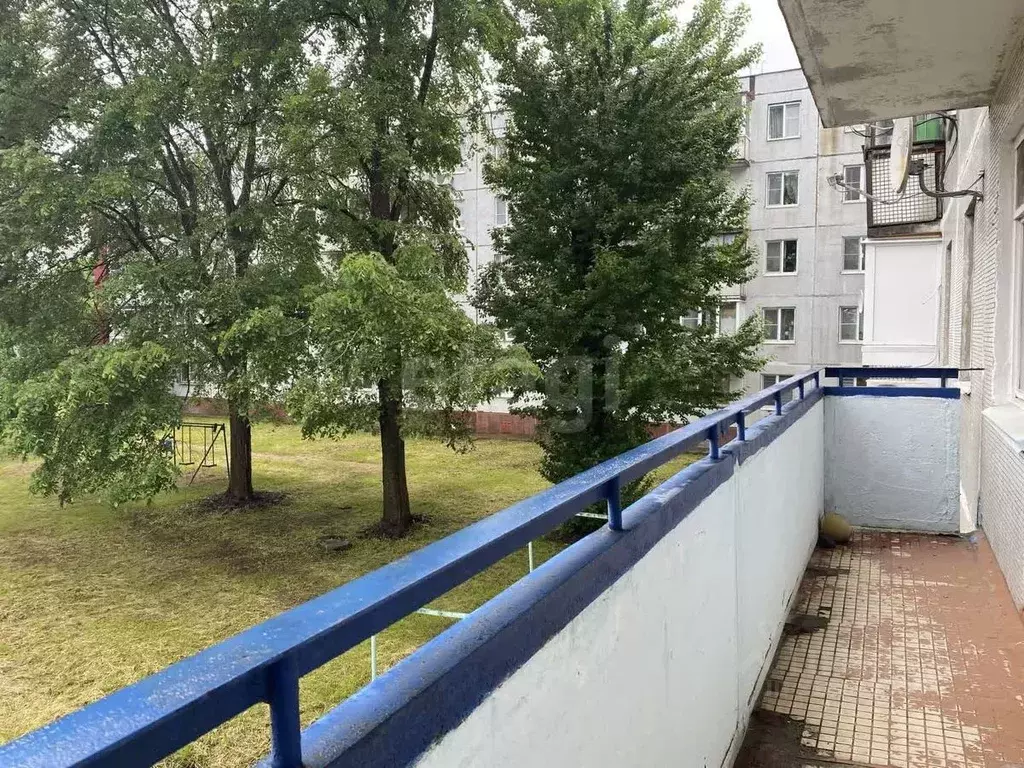 1-к кв. Ленинградская область, Кириши Волховская наб., 30 (33.1 м) - Фото 1