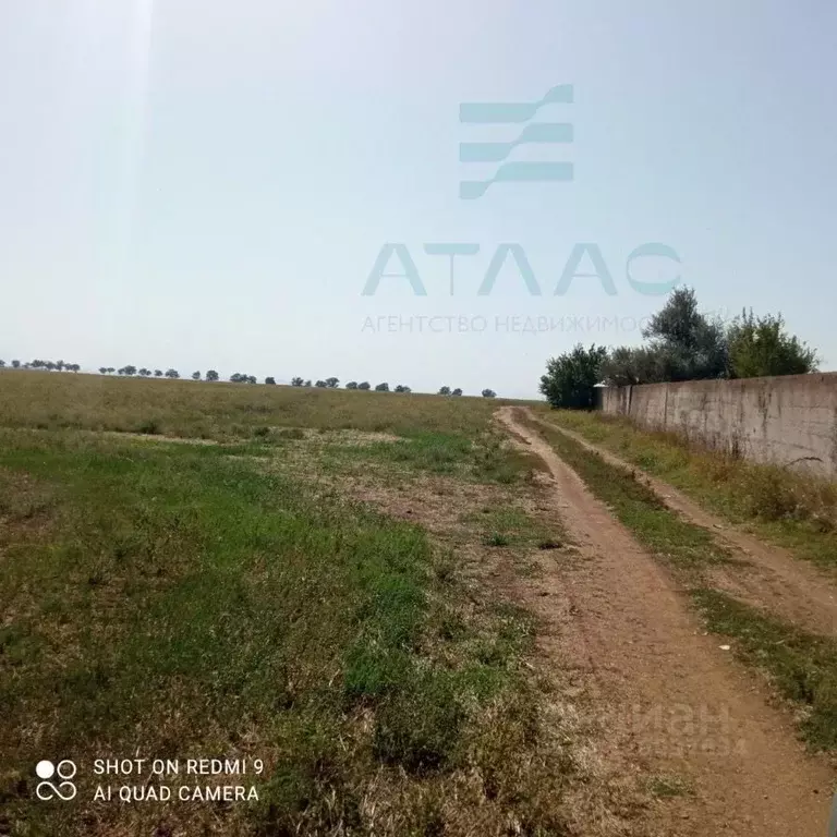 Участок в Крым, Симферопольский район, с. Родниково  (100.0 сот.) - Фото 1