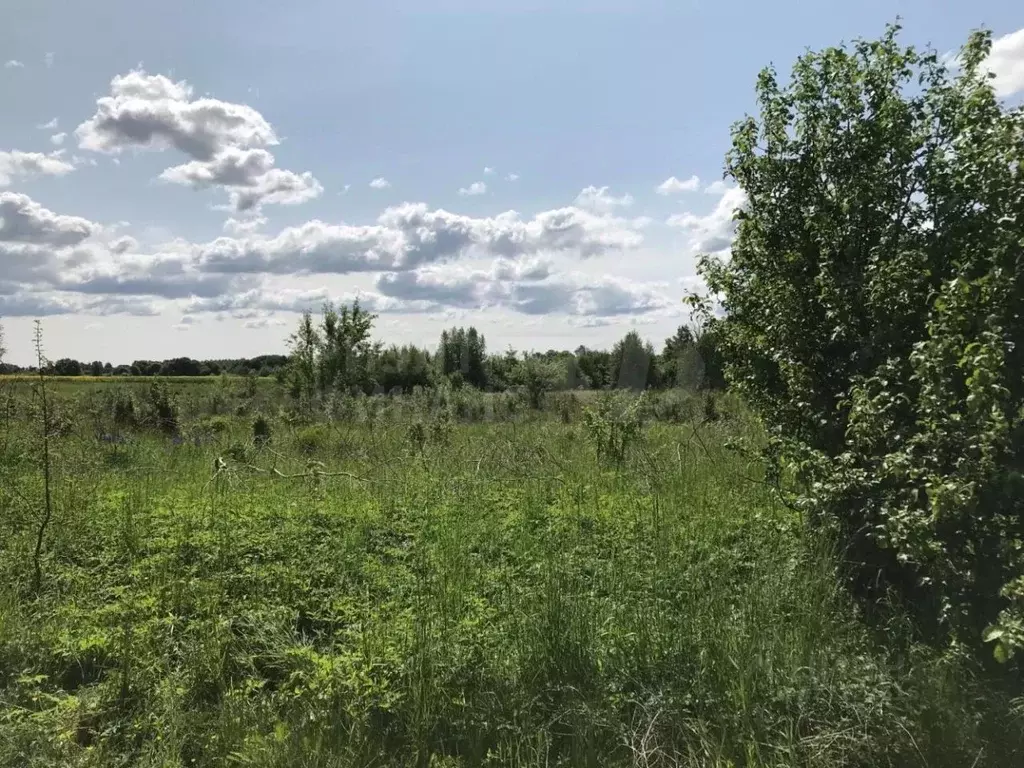 Участок в Калининградская область, Багратионовский муниципальный ... - Фото 2