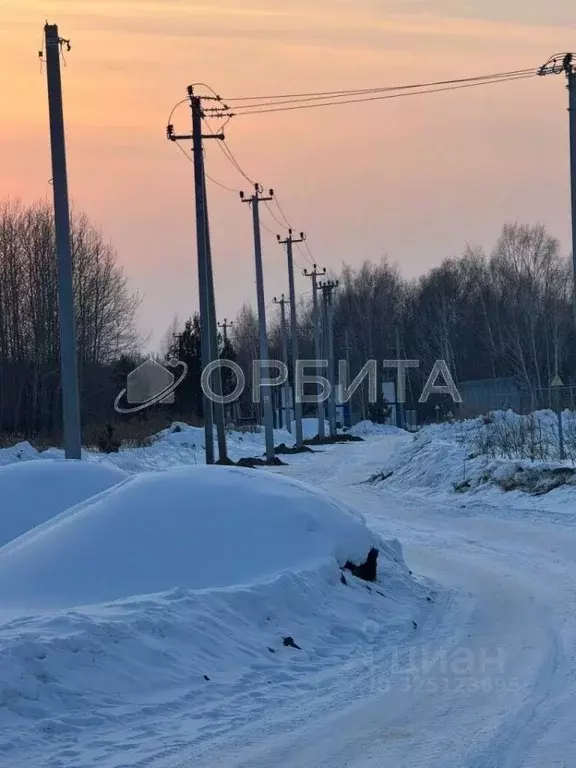 Участок в Тюменская область, Нижнетавдинский муниципальный округ, ... - Фото 2