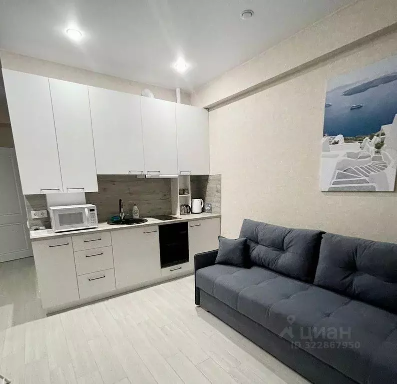 2-к кв. Краснодарский край, Сочи ул. Тимирязева, 34Бк1 (35.0 м) - Фото 0