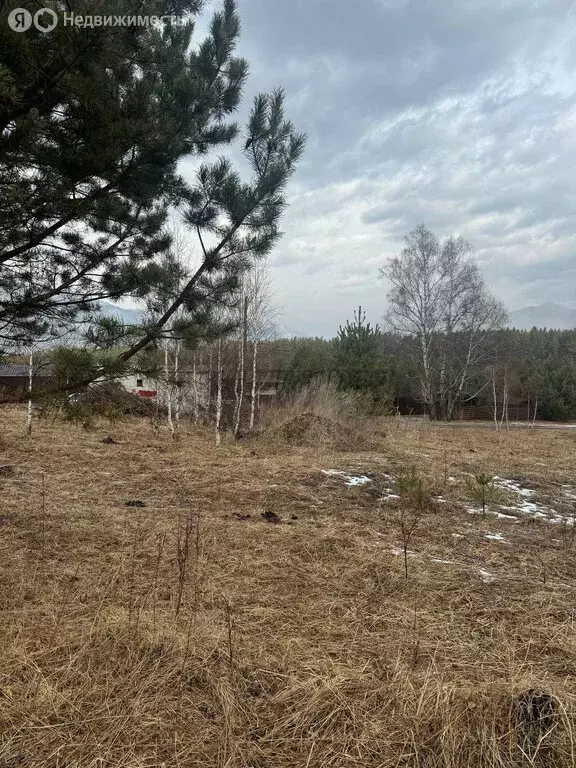 Участок в село Чемал, Кольцевая улица (16.5 м) - Фото 1