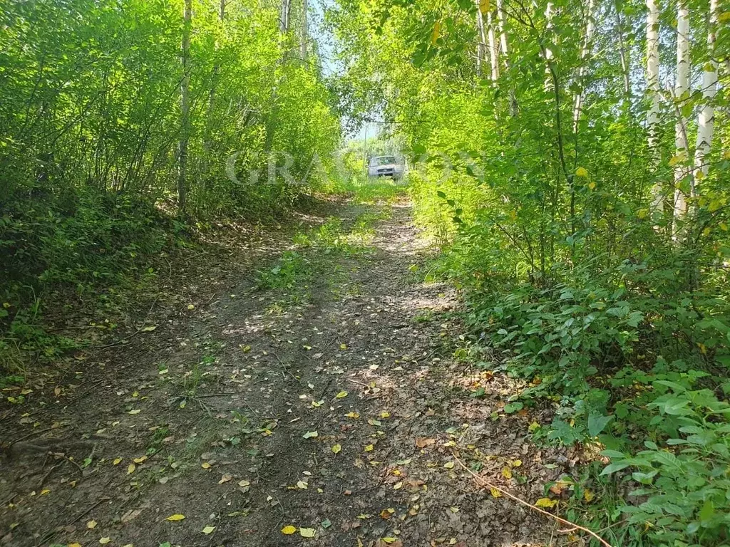 Участок в Алтай, Майминский район, с. Майма ул. Березовая роща (8.0 ... - Фото 0
