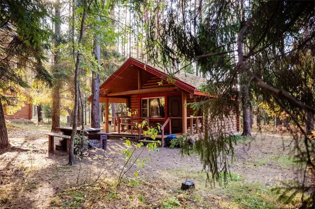 Дом в Псковская область, Гдов  (25 м) - Фото 2