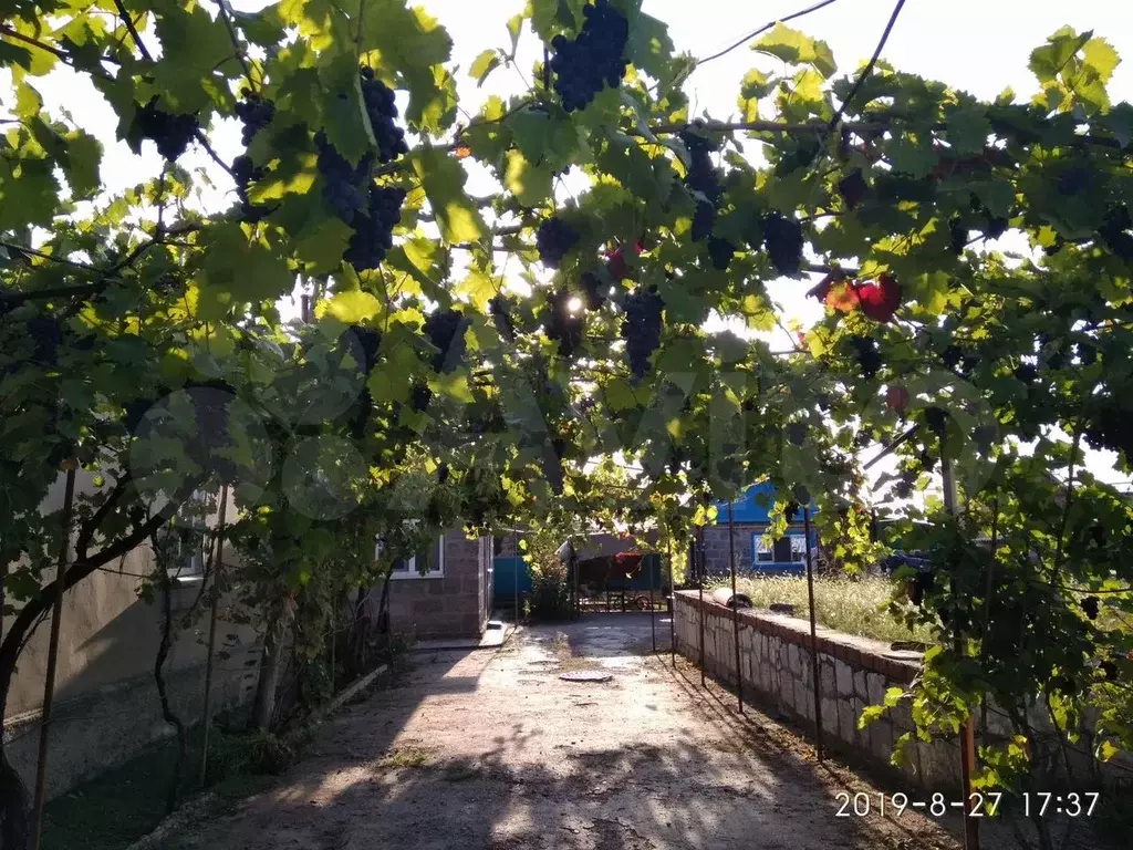Дом 50 м на участке 22 сот. - Фото 0