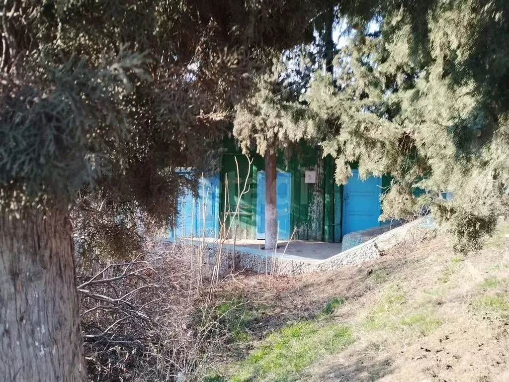 Дом в Крым, Алушта муниципальный округ, с. Рыбачье ул. Бедненко (173 ... - Фото 2