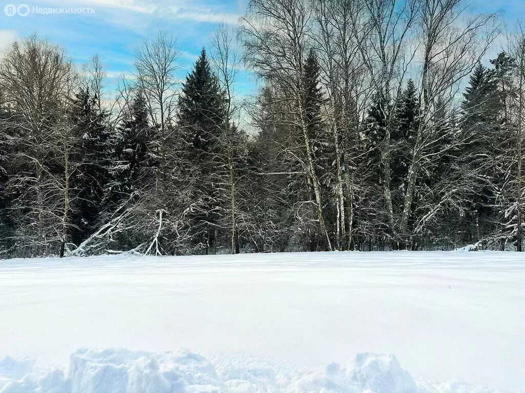 Участок в Московская область, городской округ Подольск, КП Пузиково, ... - Фото 1