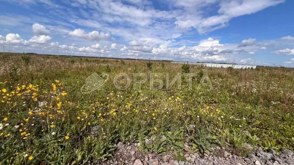 Участок в Тюменская область, Тюменский район, с. Кулига  (8.0 сот.) - Фото 1