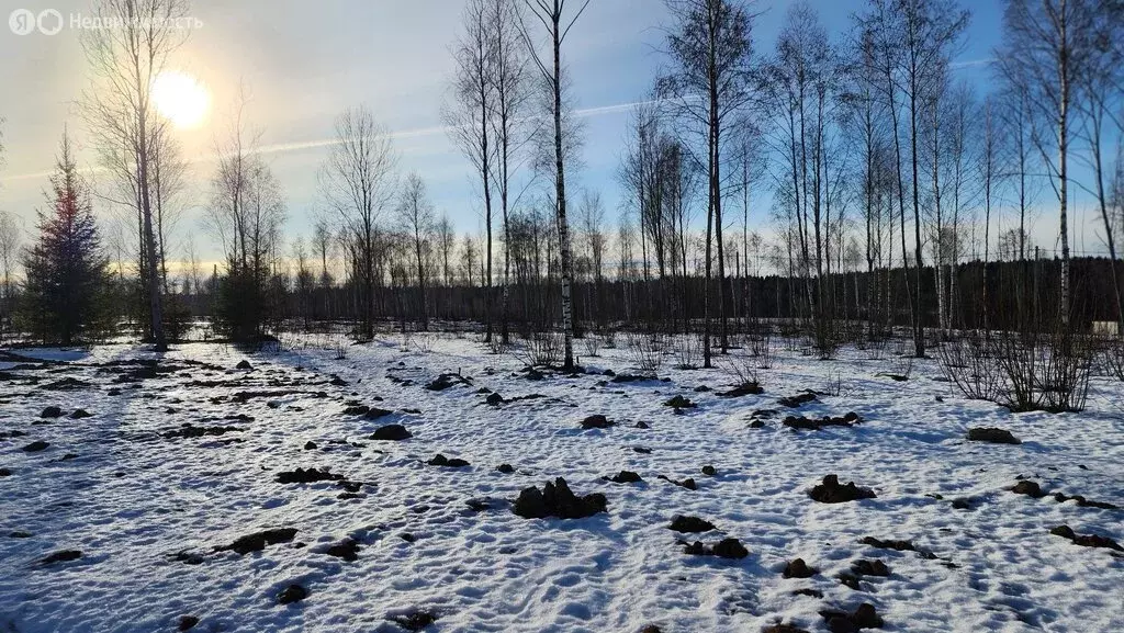 Участок в Московская область, городской округ Клин, коттеджный посёлок ... - Фото 0