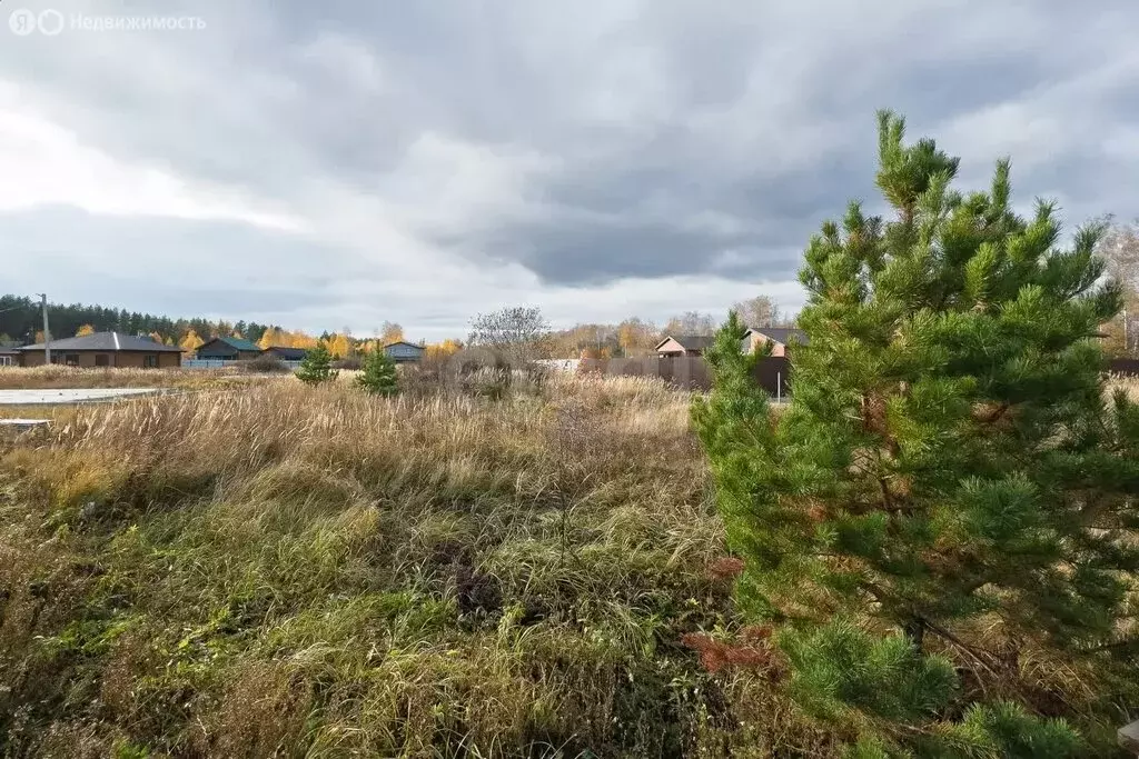 Участок в Сенгилеевский район, Тушнинское сельское поселение, село ... - Фото 2