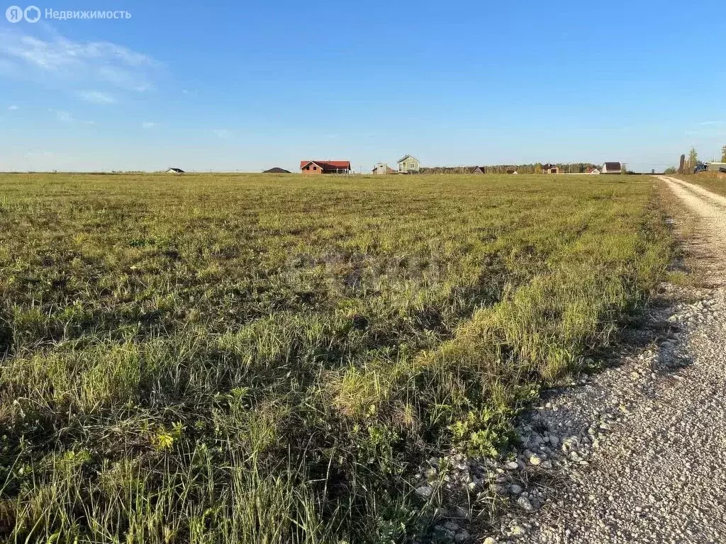 Участок в Киреевский район, сельское поселение Бородинское, село ... - Фото 2
