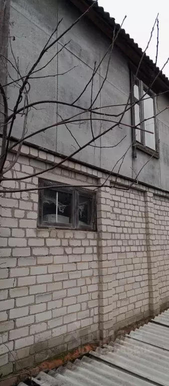 Участок в Воронежская область, Новоусманский район, Орловское с/пос, ... - Фото 1