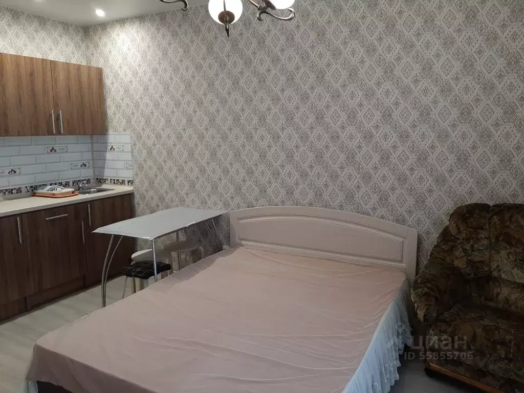 Студия Новосибирская область, Новосибирск ул. Серафимовича, 18А (27.0 ... - Фото 1