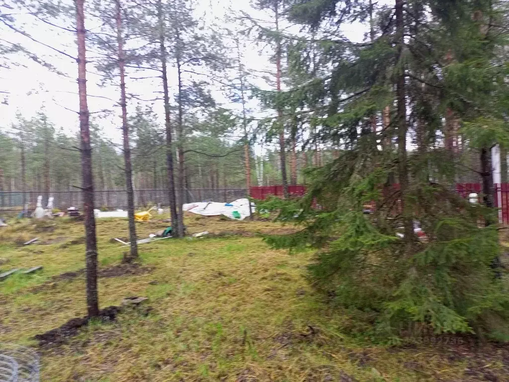 Участок в Ленинградская область, Всеволожское городское поселение, ... - Фото 2