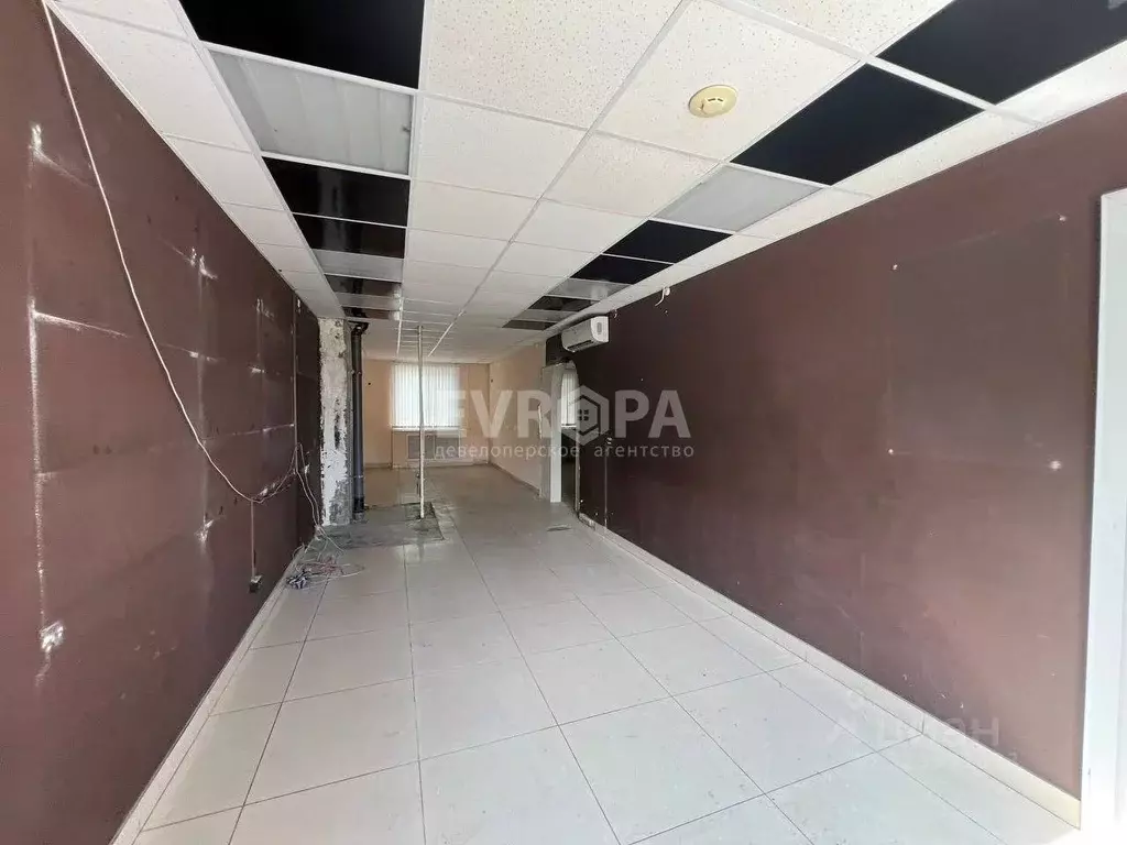 Торговая площадь в Ульяновская область, Ульяновск ул. Рябикова, 60А ... - Фото 2