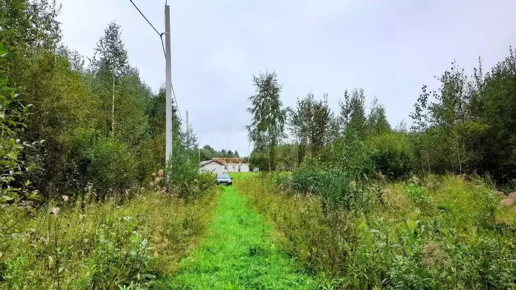 Участок в Кировская область, Киров городской округ, д. Чарушины  (10.5 ... - Фото 1
