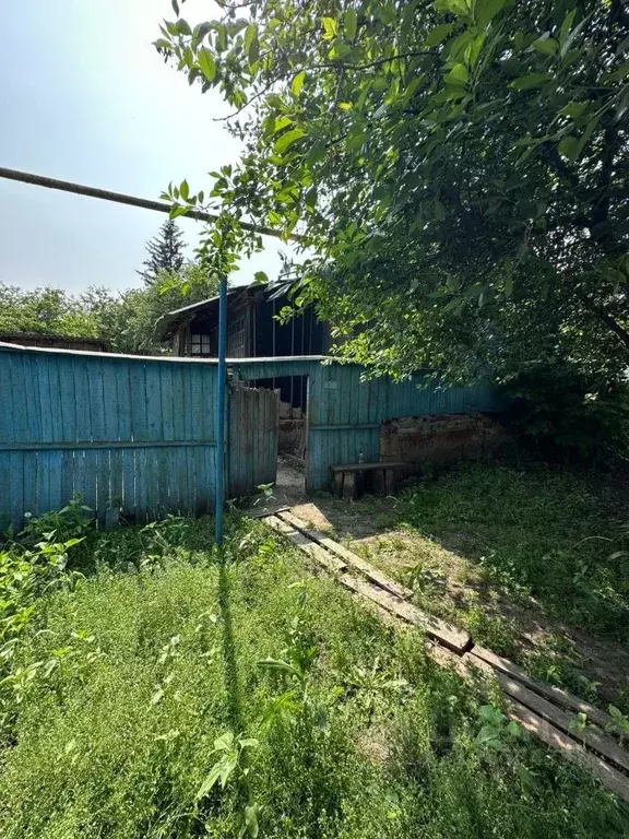 Участок в Курская область, Октябрьский район, Катыринский сельсовет, ... - Фото 1