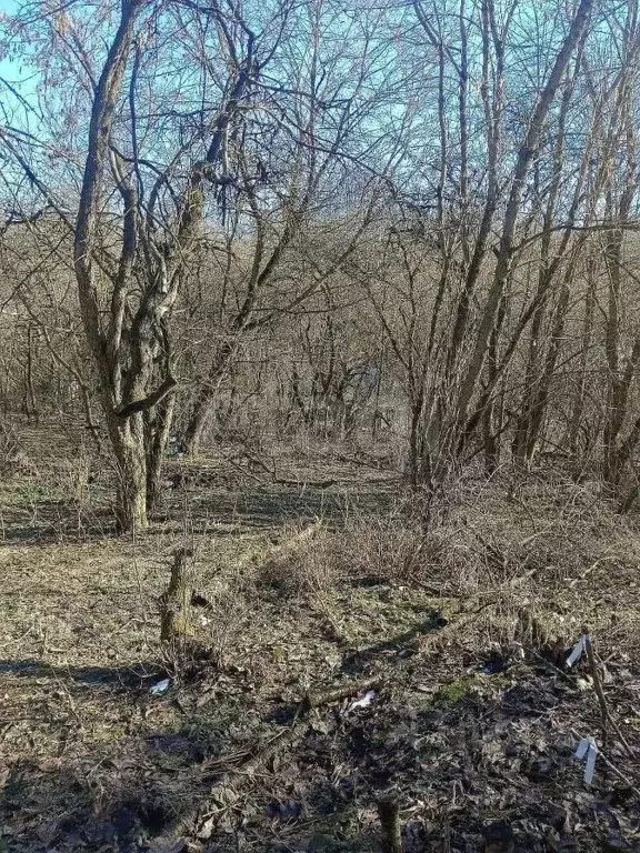 Участок в Брянская область, Брянск Союз садоводческое объединение,  ... - Фото 2