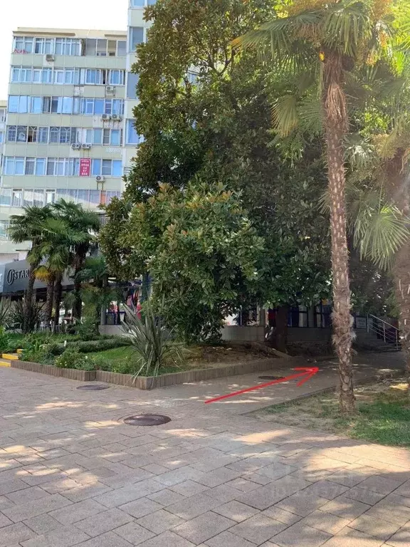 Помещение свободного назначения в Краснодарский край, Сочи Центральный ... - Фото 2