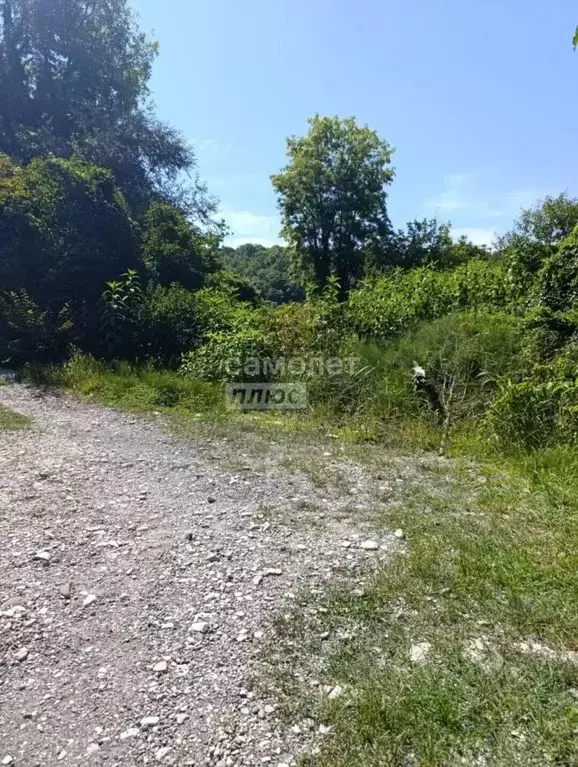 Участок в Краснодарский край, Туапсинский муниципальный округ, с. ... - Фото 2