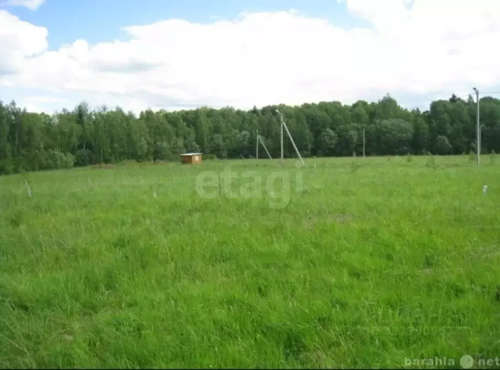 Участок в Красноярский край, Сосновоборский муниципальный округ, д. ... - Фото 1