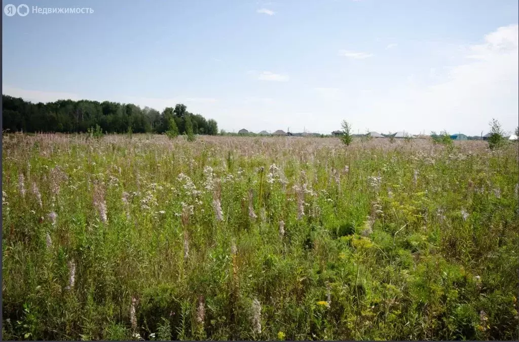 Участок в Заводоуковск, улица Героев, 12 (8.8 м) - Фото 2