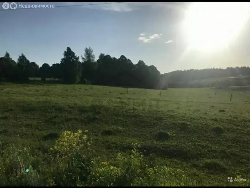 Участок в Калужская область, Боровский муниципальный округ, сельское ... - Фото 2