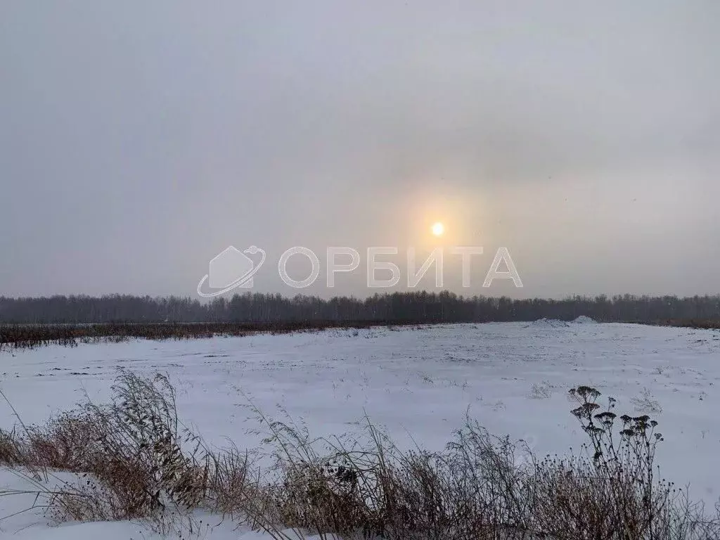 Участок в Тюменская область, Тюменский район, с. Горьковка Сибирская ... - Фото 0