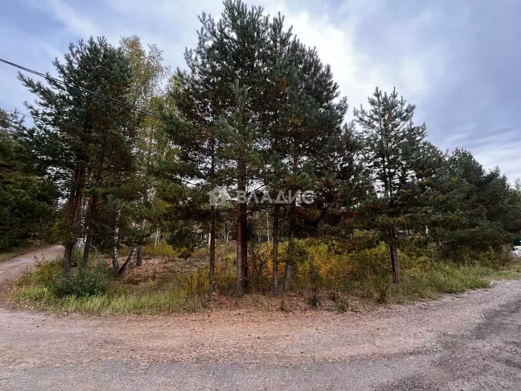 Участок в Владимирская область, Судогодский район, пос. Улыбышево ... - Фото 1