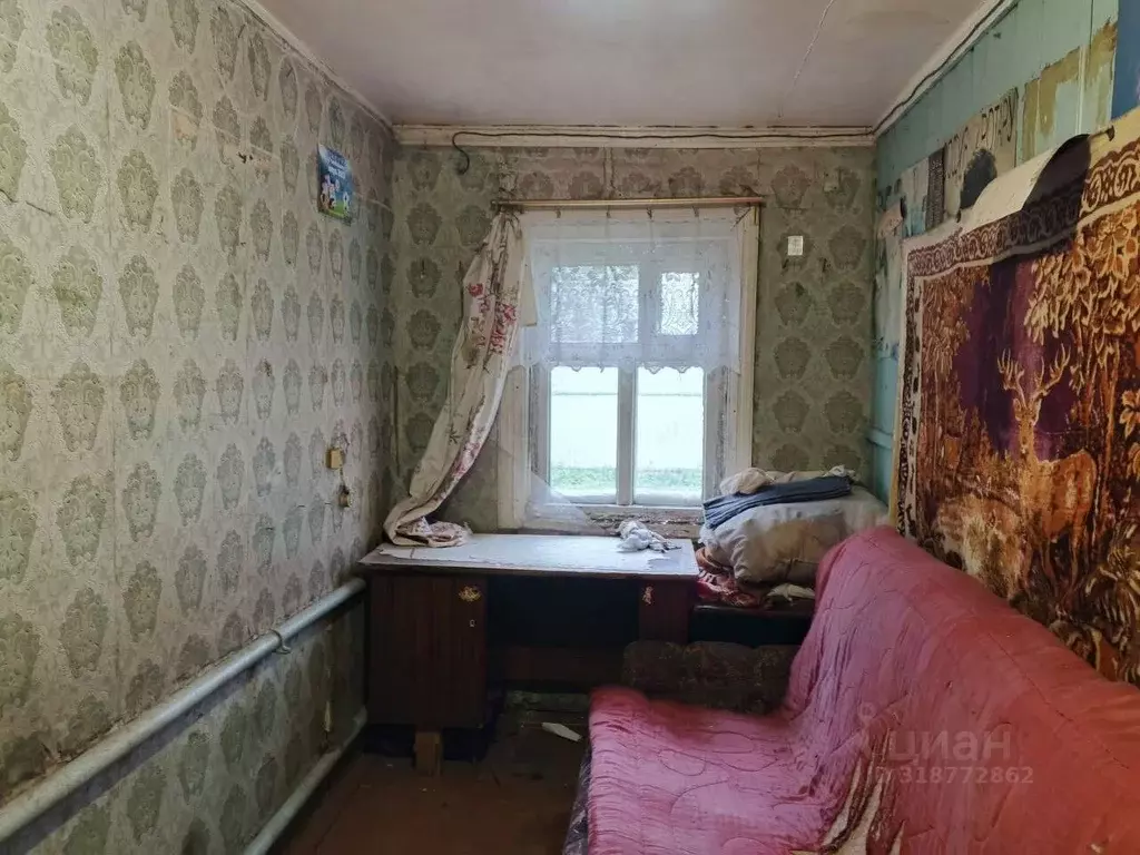 Дом в Нижегородская область, Бор Восточная ул., 101 (49 м) - Фото 1