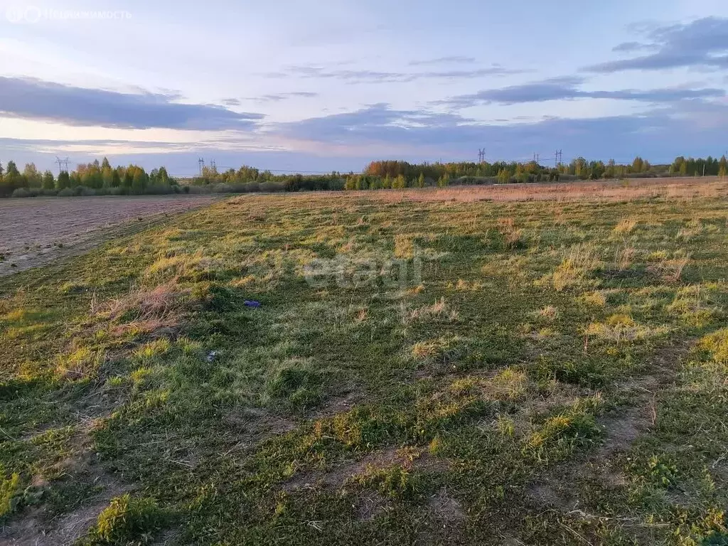 Участок в Тюменский район, село Борки (15 м) - Фото 1