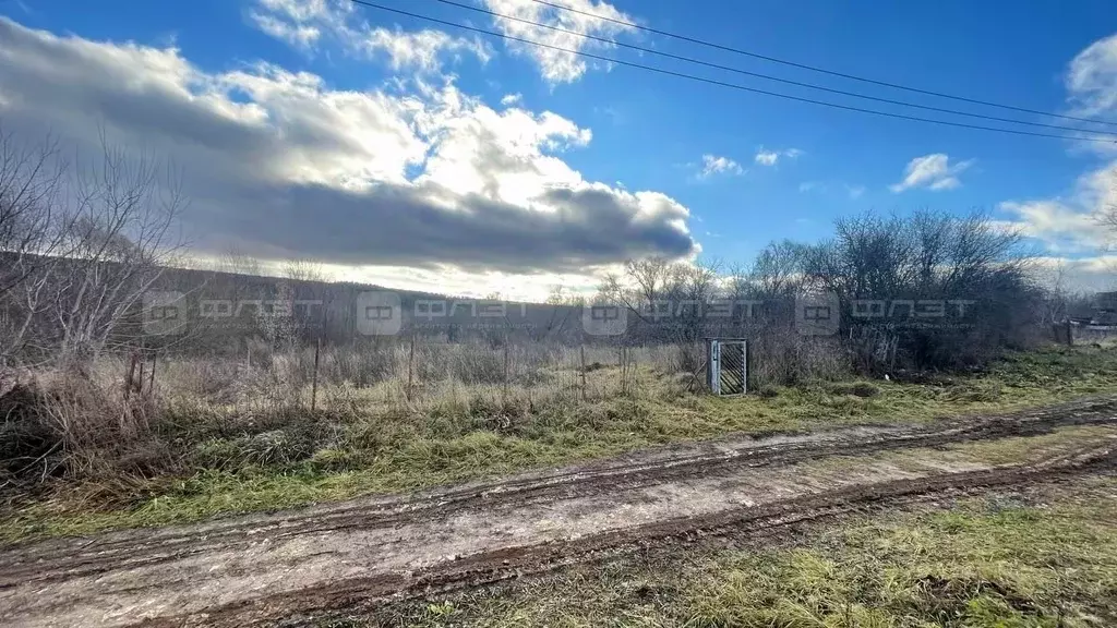 Участок в Татарстан, Верхнеуслонский район, Введенско-Слободское ... - Фото 2