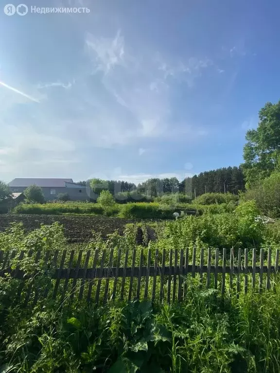Участок в Прокопьевск, Берёзовская улица (8 м) - Фото 0