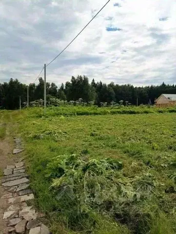 Участок в Московская область, Электросталь городской округ, пос. ... - Фото 1
