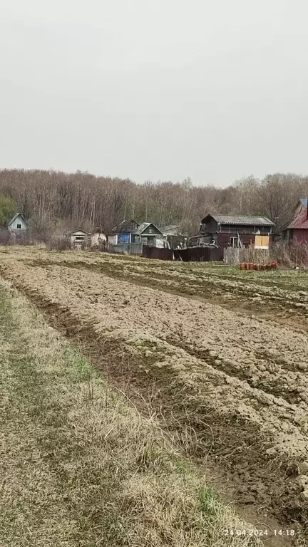 Участок в Хабаровский край, Хабаровск Каскад садовое товарищество,  ... - Фото 0